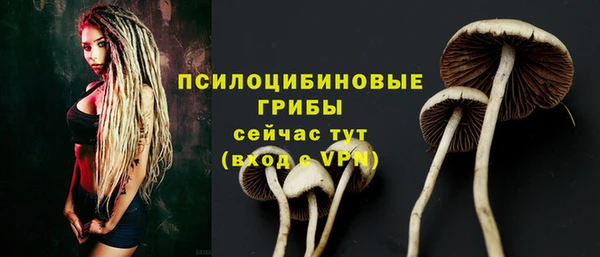 молекула духа Волоколамск