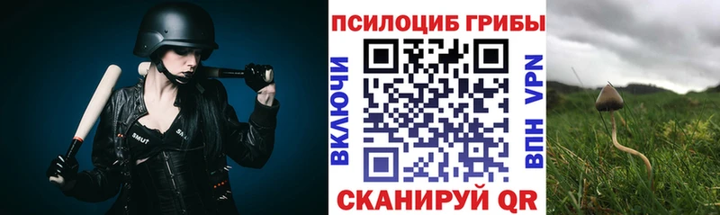 Галлюциногенные грибы Psilocybine cubensis  магазин    MEGA ссылки  Камень-на-Оби 
