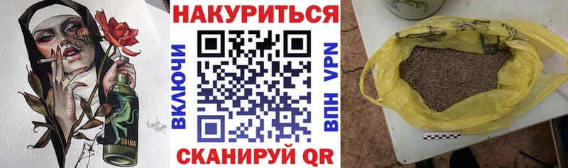 Бошки Шишки семена  купить наркотик  нарко площадка состав  Камень-на-Оби  MEGA онион 